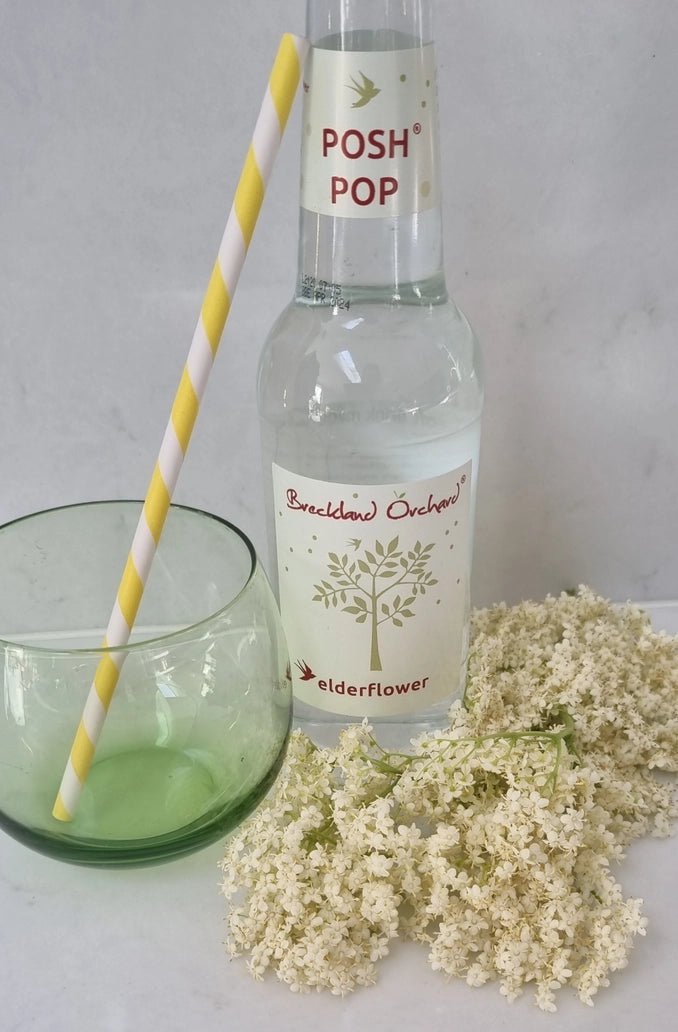 Delicious sparkling elderflower drink to refresh and uplift