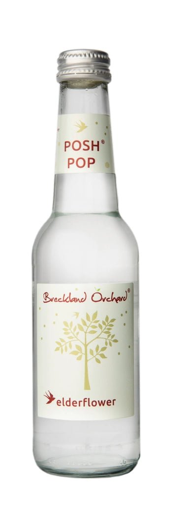 Zero-calorie elderflower soda, no added sugar, refreshing beverage