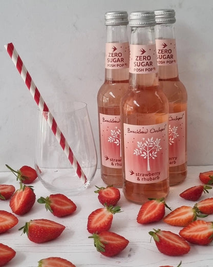 Vegan natural fruit drink with no artificial colors